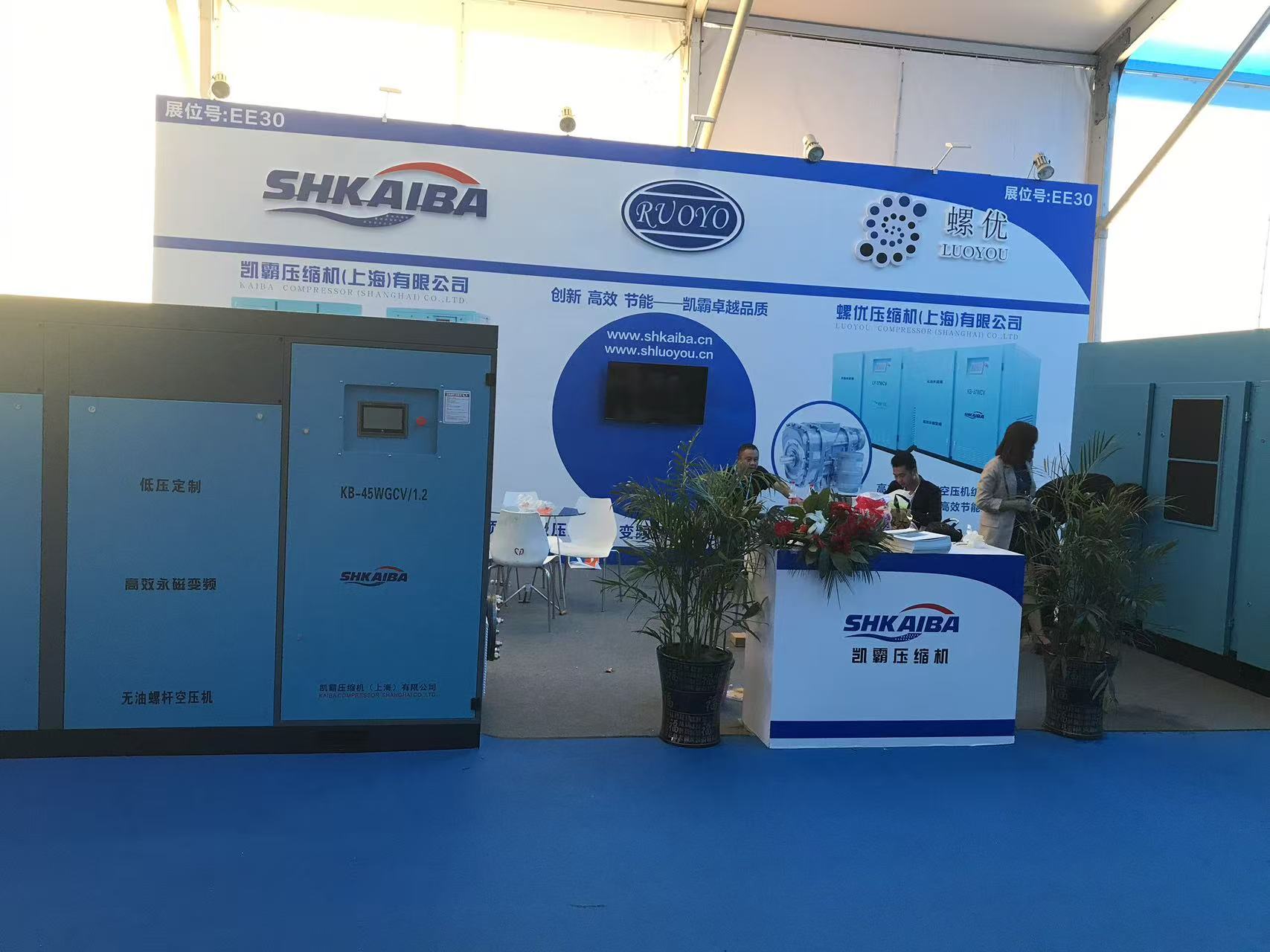 Global Exhibition Showcase